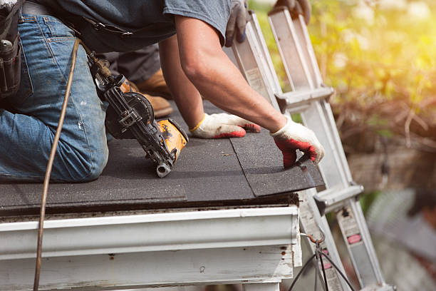 Best Roof Maintenance Services  in Algoma, WI